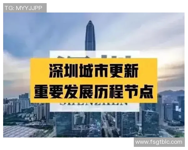 深圳篮球队的奋斗历程与荣耀时刻全景纪实