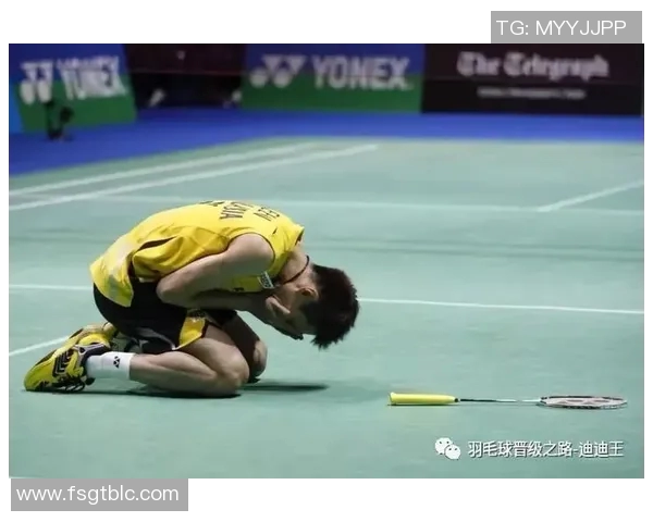 深圳羽毛球队区域防守体系解析与战术运用探讨 深圳羽毛球队区域防守体系解析与战术运用探讨