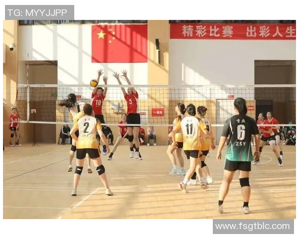 重庆排球队状态分析与未来发展展望的深度探讨