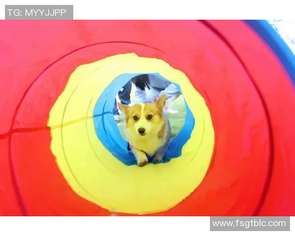 杭州极限运动队的整体压制与运动热潮的深度解析 杭州极限运动队的整体压制与运动热潮的深度解析