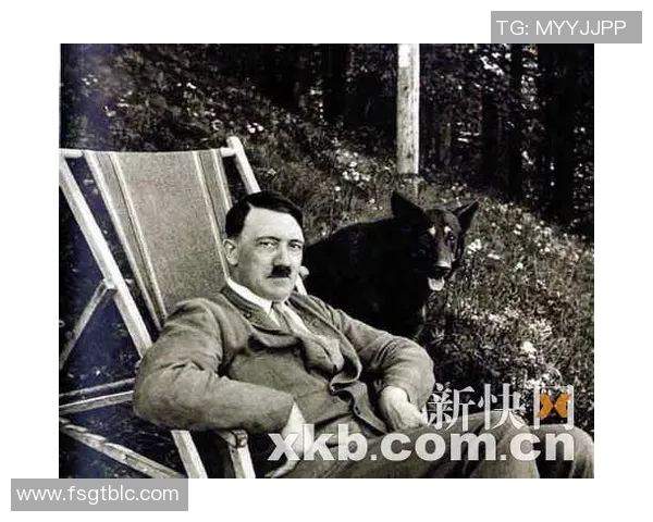 养狗的足球明星们如何在绿茵场上与爱犬共度快乐时光