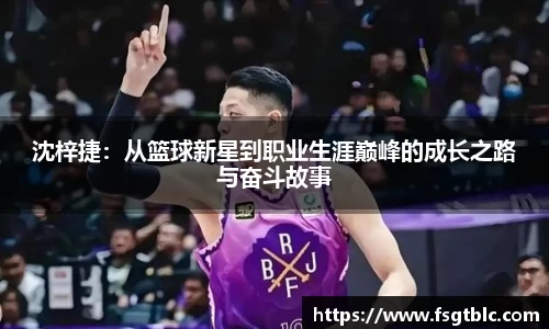 球速体育平台