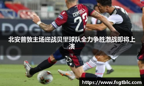 球速体育平台