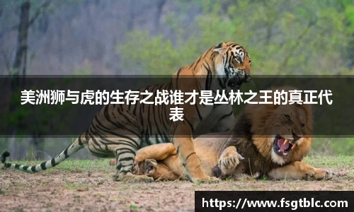 球速体育