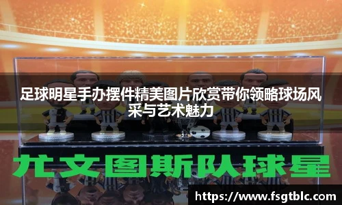 星空综合股份(中国)